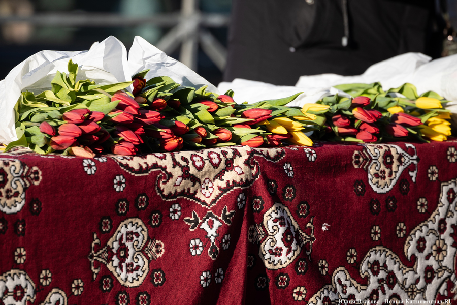 Цветочные баррикады: как выглядят улицы Калининграда 8 марта (фото)