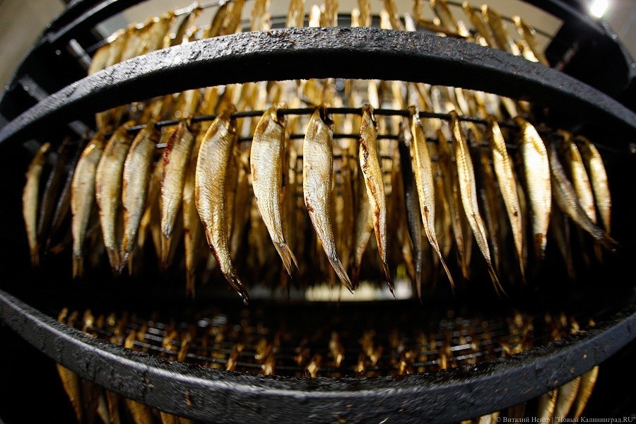 Областные власти: переработка калининградского рыбного сырья выросла в 1,5 раза
