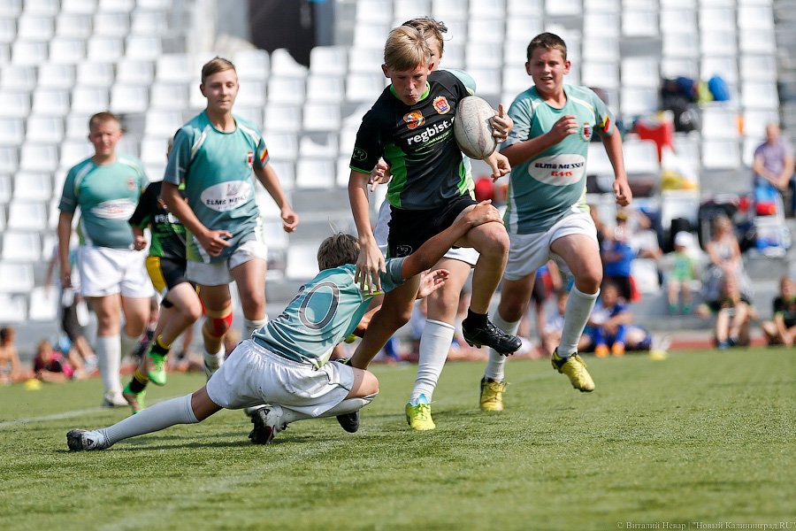 С овальным мячом: как в Калининграде прошёл турнир по регби (фото)