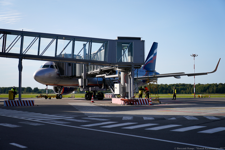 РБК: убыток российских авиаперевозчиков за 2020 год составил почти 125 млрд руб.