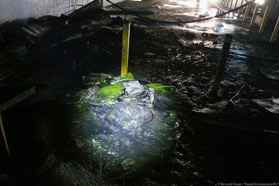 Цветы, гарь и копоть: пепелище пожара в торговом центре Калининграда (фото)
