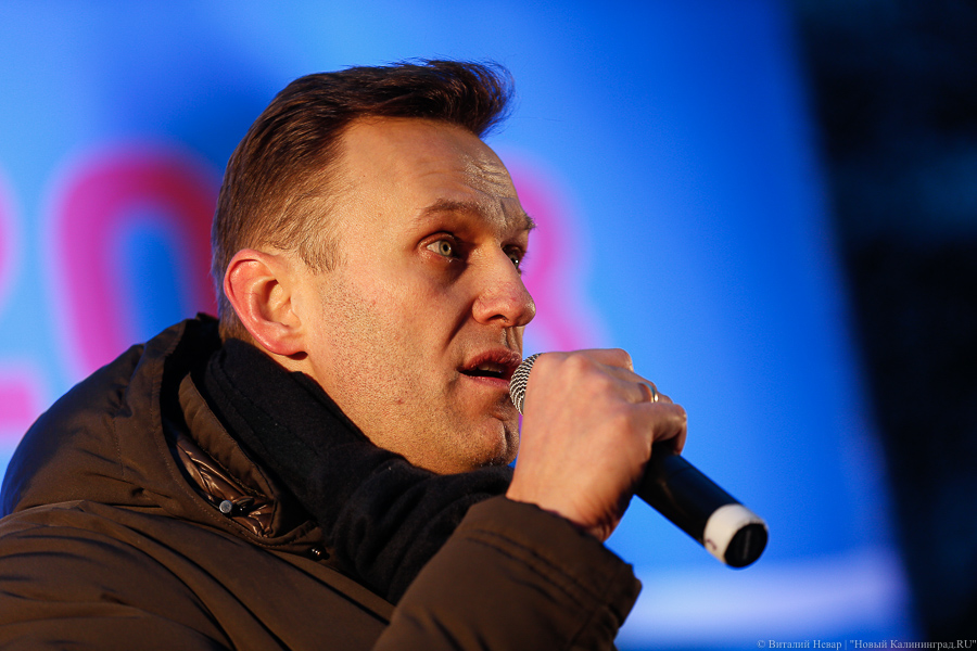 Der Spiegel: следы яда нашли на бутылке, из которой, предположительно, пил Навальный