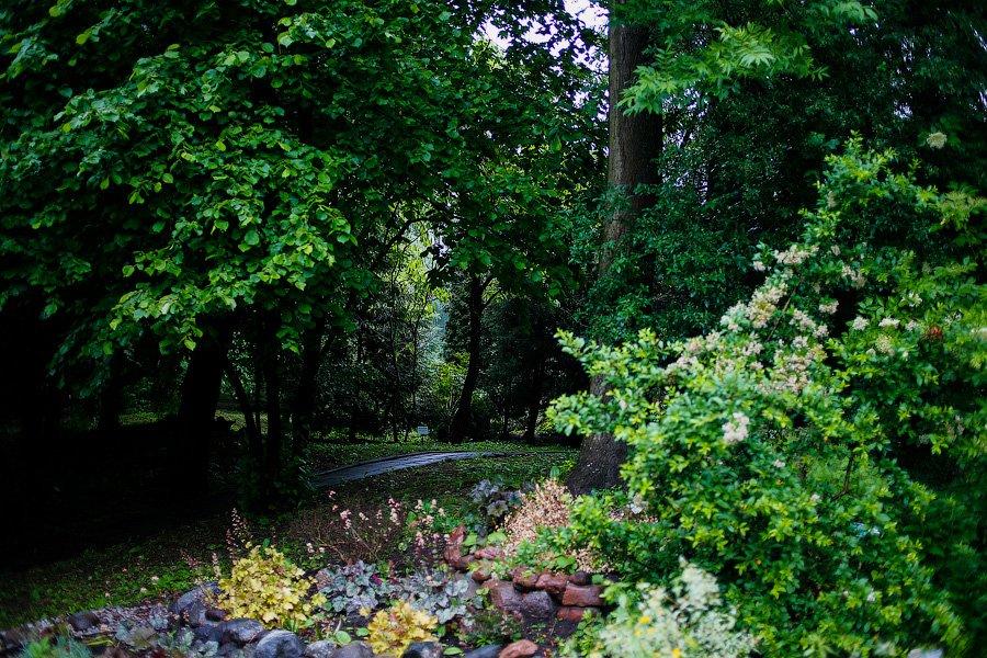 На неведомых дорожках: дендропарк калининградского Экоцентра