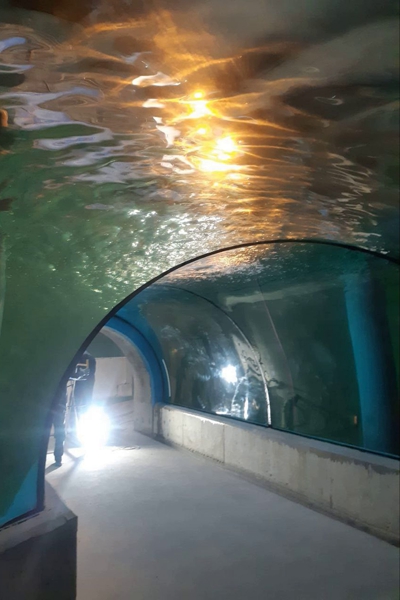 В «Планете Океан» завершают тестирование аквариумов (фото)