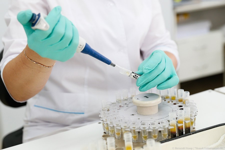 Калининградцам обещают выборочное тестирование на антитела к коронавирусу