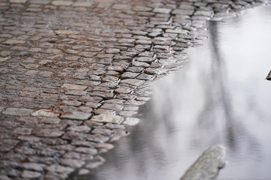 Метеорологи: за половину сентября норма осадков в Калининграде превышена втрое