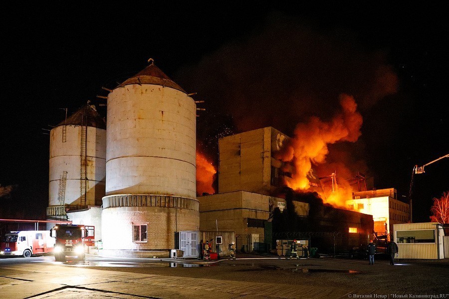 «Цепрусс» в огне: в Калининграде горело заброшенное здание завода (фото)