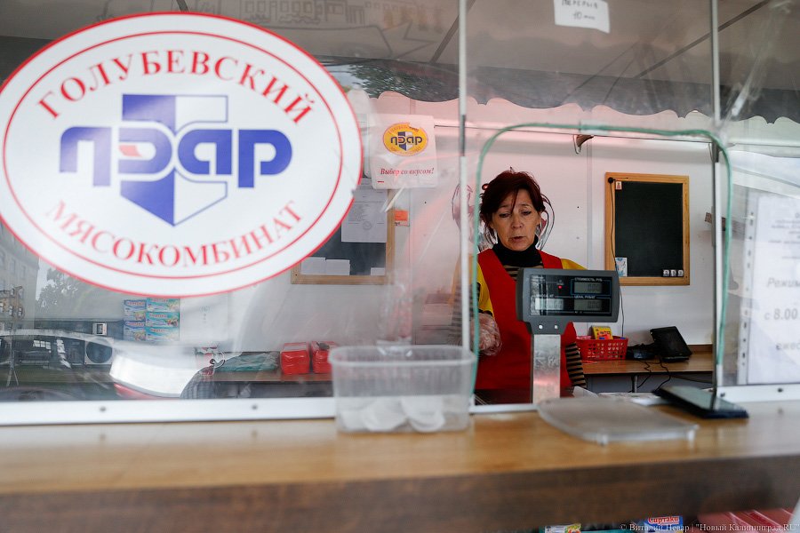 «Куда потом, воровать?»: Калининград на пороге новой палаточной войны