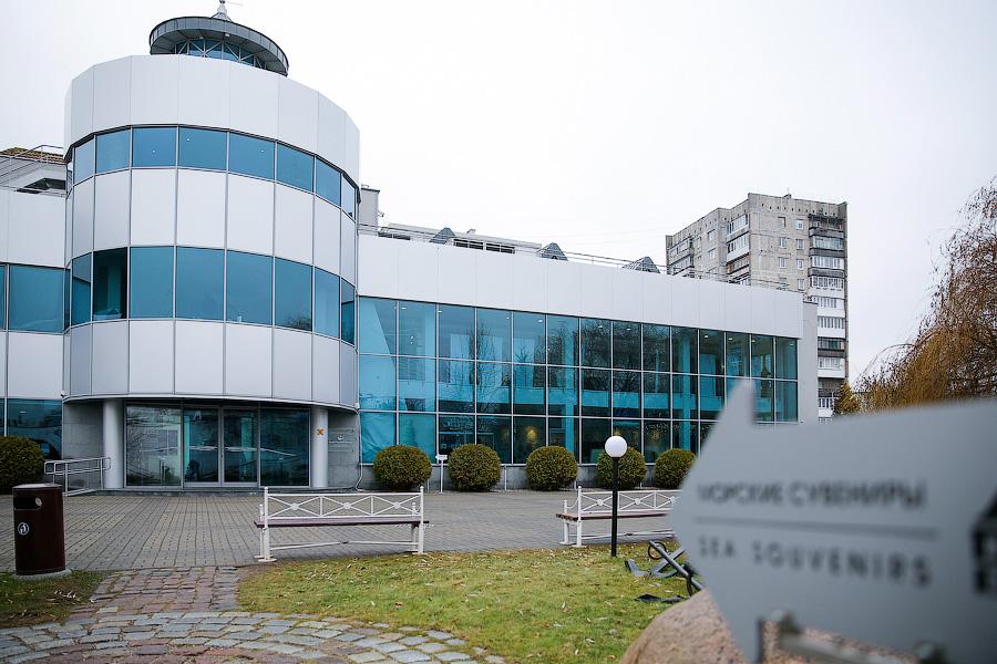 Фото — Виталий Невар, «Новый Калининград.Ru»