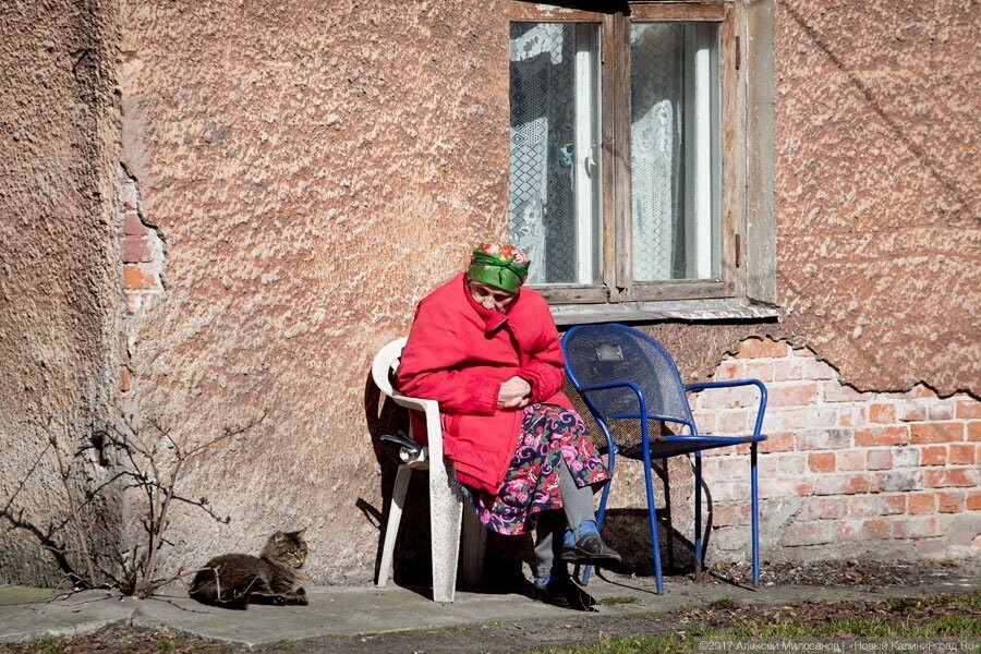 Минсоц: готовим программу по ликвидации бедности в Калининградской области