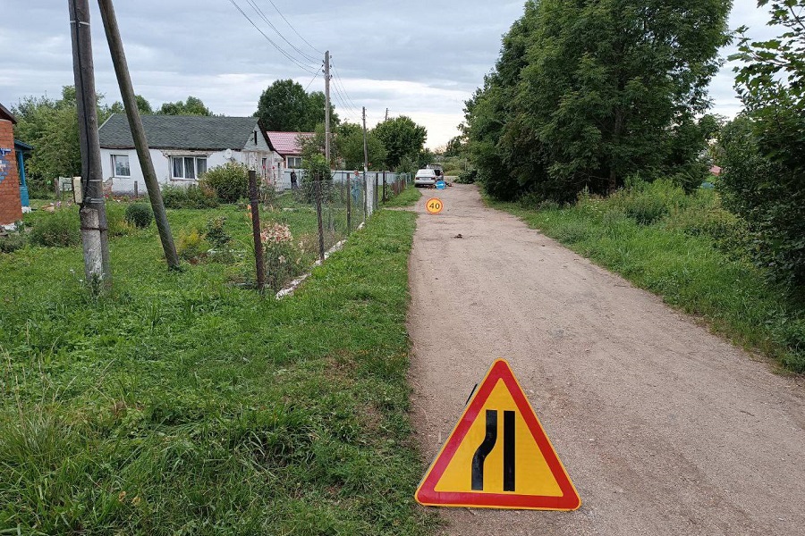 ГИБДД: одна из сбитых под Гусевом девочек умерла в больнице