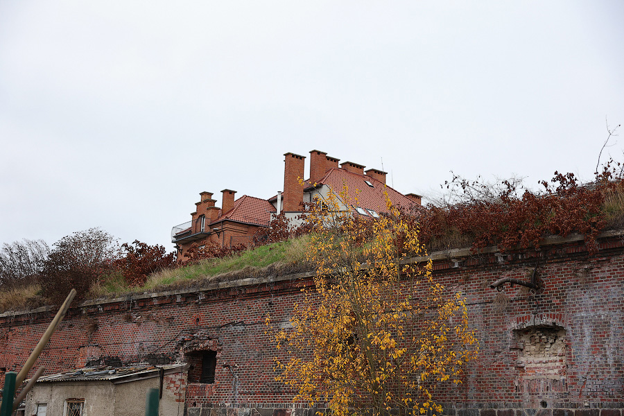 Бастион и порядок: в «Литве» провели первый субботник (фото)