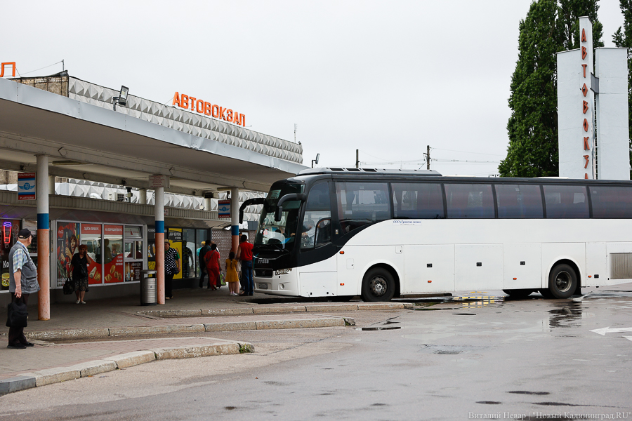 Мининфраструктуры: калининградские студенты и школьники сэкономили 44,6 млн руб. на проезде 