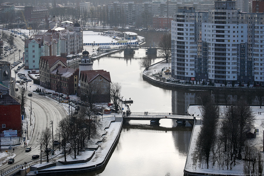 В Калининграде открывается филиал организации, помогающей представителям ЛГБТ*