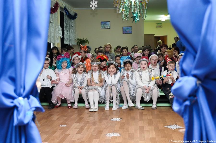 "Елка чудес": фоторепортаж "Нового Калининграда.Ru"