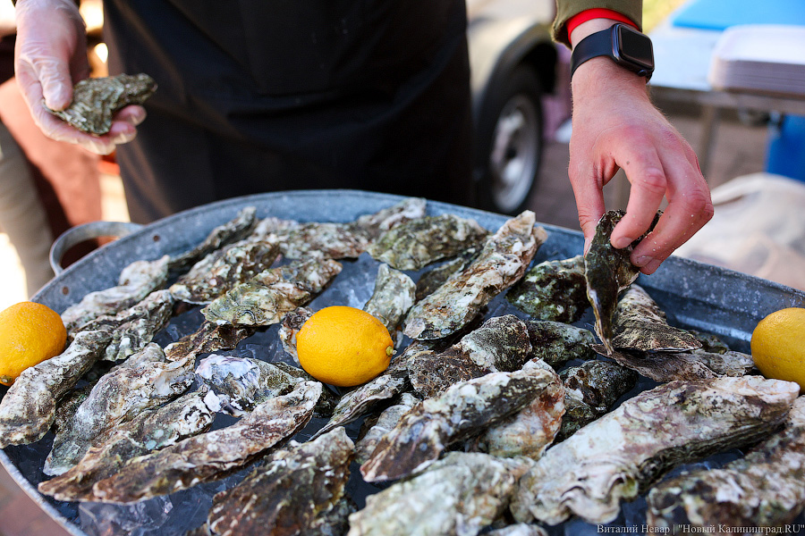 «Судя по всему, последний раз на этом месте»: что съесть на «Фиштивале» в Зеленоградске (фото)