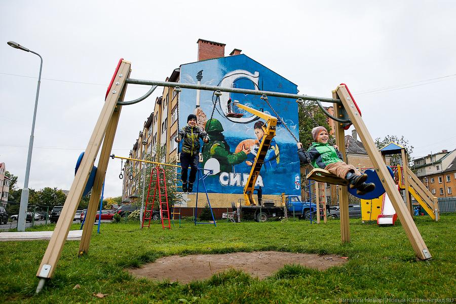 Вежливые люди и котик: судьба политического граффити о Крыме в Калининграде