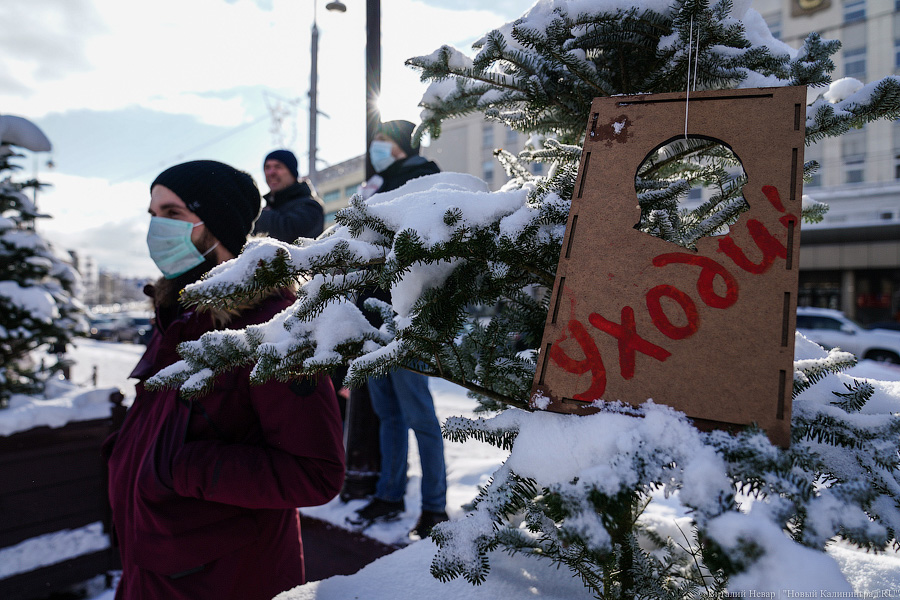 «И ты не бойся»: в Калининграде прошла новая акция в поддержку Навального (фото)