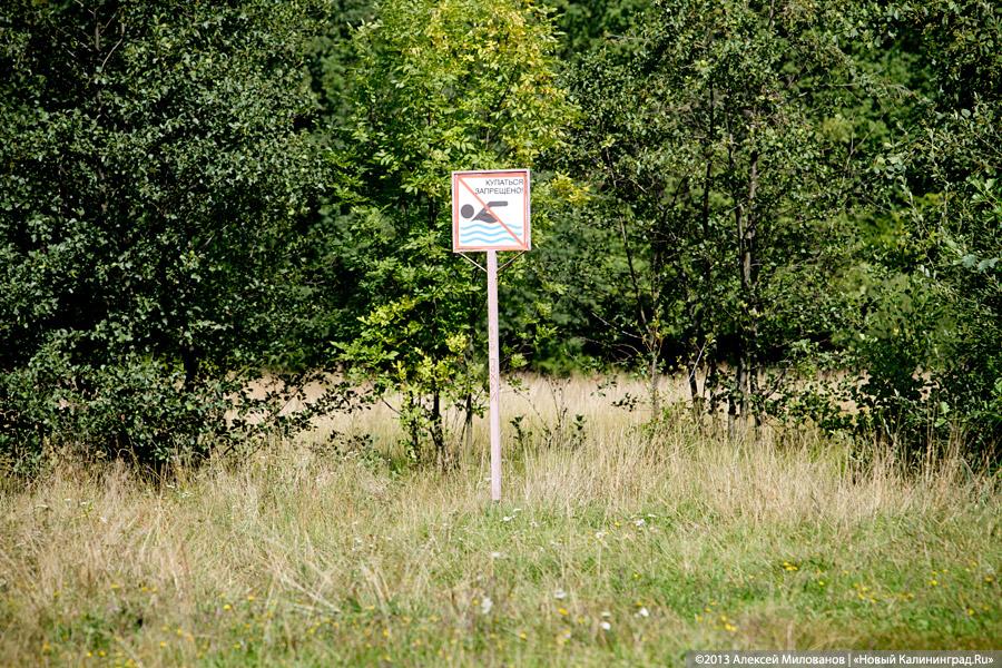 В ожидании чуда: судьба Макс-Ашманн-парка