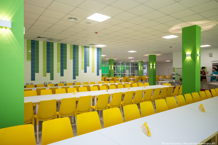 От дрона до 3D-принтера: в Калининграде открылась «школа для школы» на Каштановой аллее (фото)