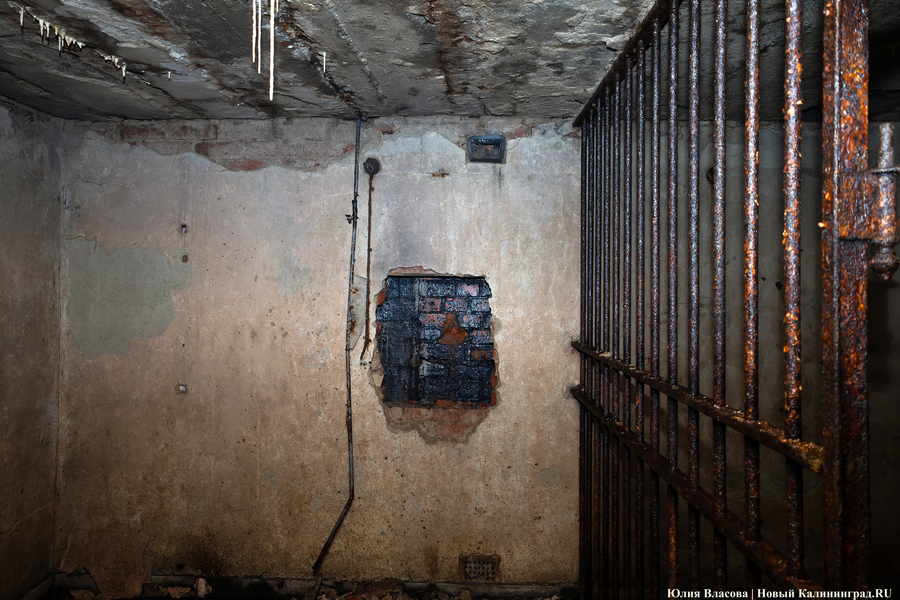 Настоящие подземелья Кёнигсберга: что находится в открывшемся провале на острове Канта (фото)