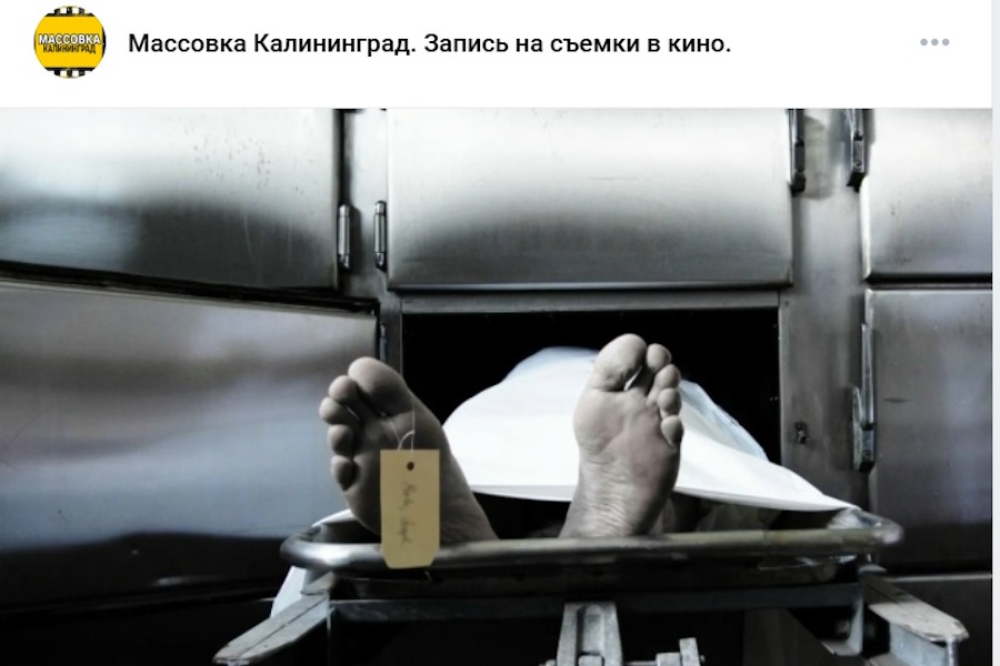 «Ищем актеров с пластичной психикой»: калининградцам предлагают роли трупов