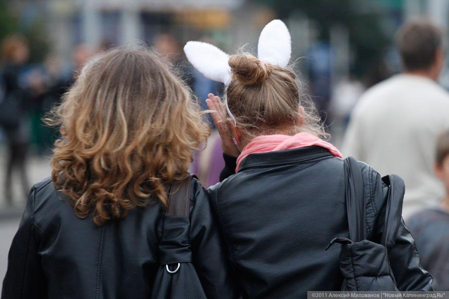 "Последний осенний": фоторепортаж "Нового Калининграда.Ru"