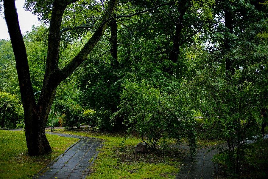 На неведомых дорожках: дендропарк калининградского Экоцентра