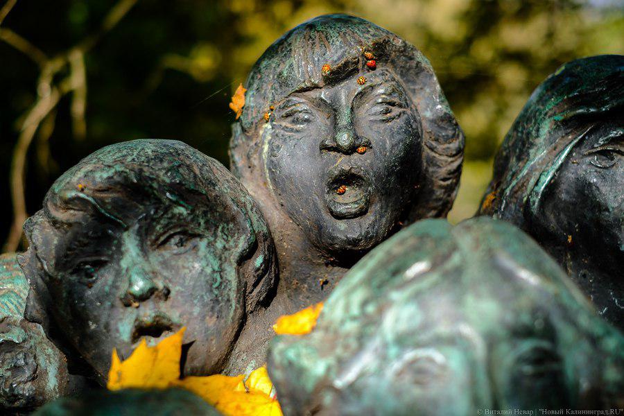 В БФУ им. И. Канта объяснили массовое появление божьих коровок в Калининграде