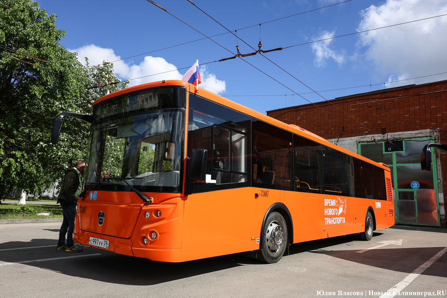 «Не надо искать особенностей»: в Калининграде на линию выпустили новые ЛиАЗы (фото)