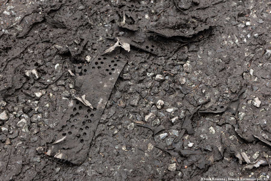 Непролазная грязь: как выглядит берег Литовского ручья в ожидании реновации (фото)