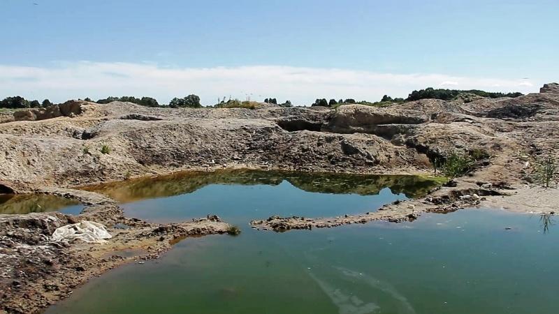 Под Зеленоградском полиция задержала 29 «черных копателей» янтаря (фото)