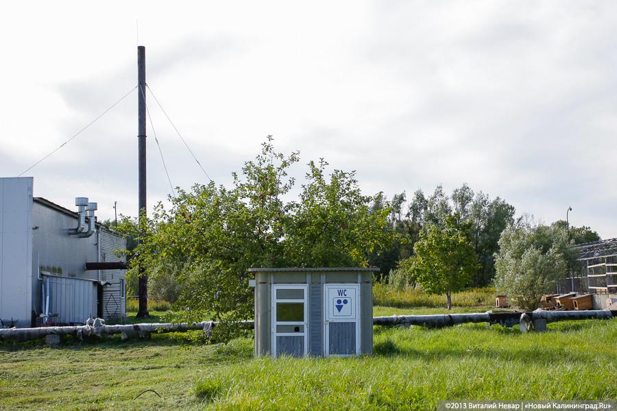Естественный отбор: что творится за забором Службы защиты животных (фото)