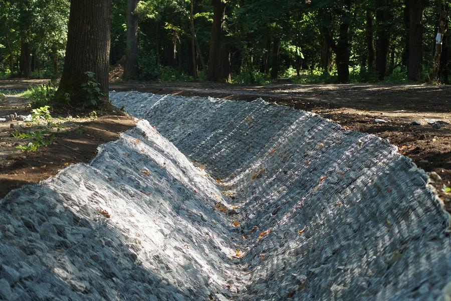 Горвласти рассказали, как будут благоустраивать парк Макса Ашманна в 2020 году