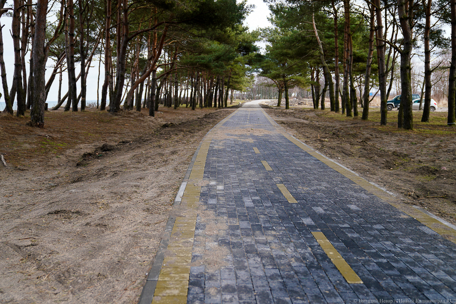 Объявлены торги на строительство велодорожки от Приморья до Балтийска за 1 млрд рублей