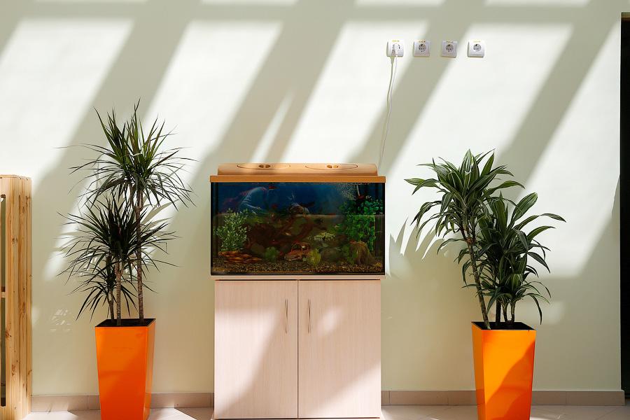 Лунтик, Цуканов и Ярошук: в микрорайоне Сельма открылся новый детский сад