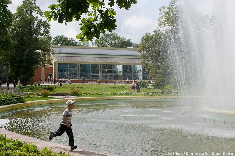 «Обезьянье счастье»: фоторепортаж «Нового Калининграда.Ru»