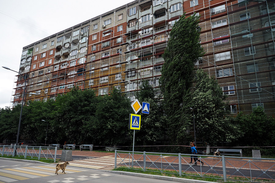 Фото — Виталий Невар, «Новый Калининград»