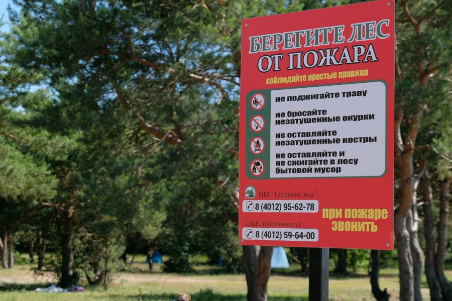Администрация: жарить шашлыки в Калининграде нельзя до конца июня