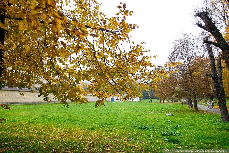 Днём совсем не страшно: осенний Балтийский парк