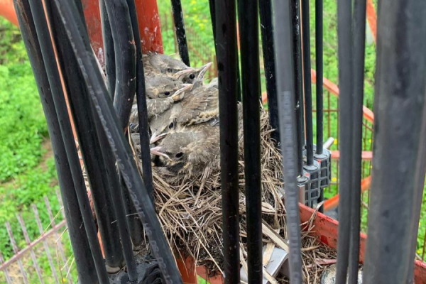 «Билайн» рассказал 6 фактов о внутренней «кухне» мобильного оператора