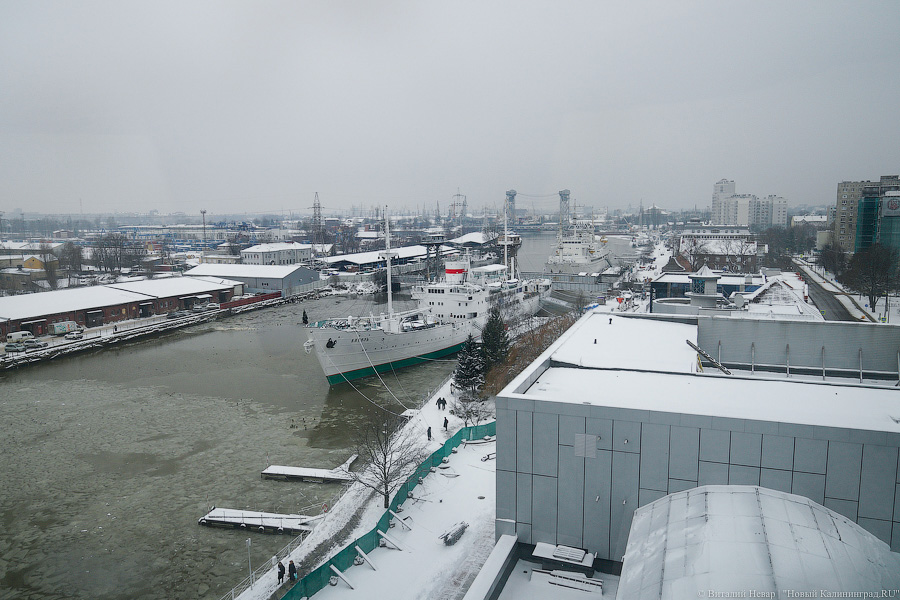 «Храмовое пространство»: как выглядит новый корпус Музея Мирового океана изнутри (фото)