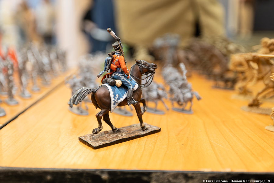 Разгадать тайны океанов: как Калининград принимал десант «Цифровой истории» (фото)