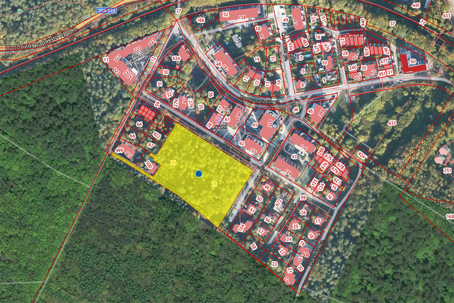 В Светлогорске разрешили вырубить 80 деревьев (фото)