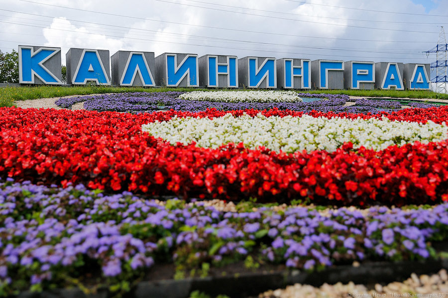 Миграционный прирост в Калининградской области снизился на 50%