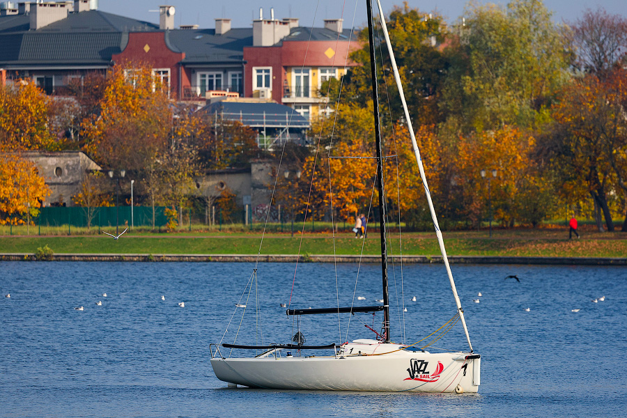 Время тыквы: как в Калининграде проходит необычная осень (фото)