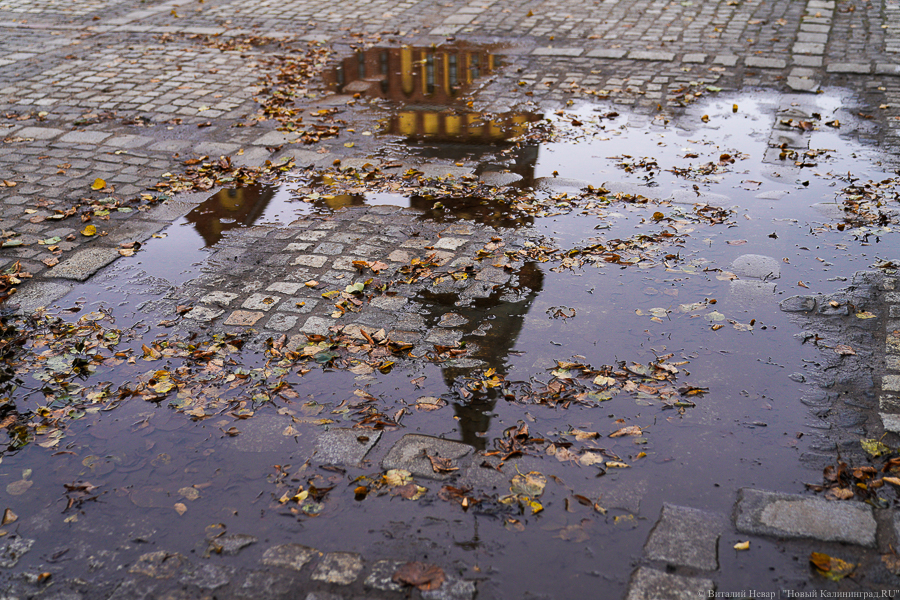 Метеорологи пообещали «впечатляющие температурные аномалии» на этих выходных