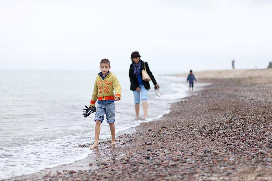 «Укротители кайтов»: фоторепортаж с фестиваля воздушных змеев