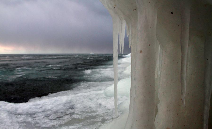 "Сцены у моря": фоторепортаж "Нового Калининграда.Ru"