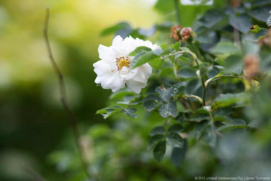 «Маленький, но свой»: фоторепортаж с открытия частного мини-музея